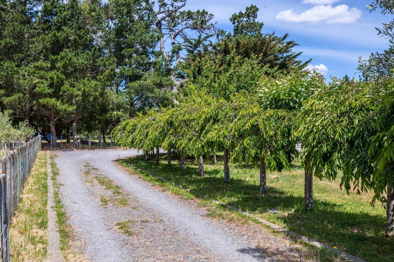 Brooklands Cottage Martinborough Exteriör bild